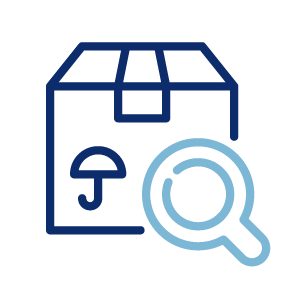 Economy Speedy Parcels economy icon