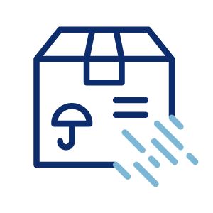 Express Speedy Parcels express icon