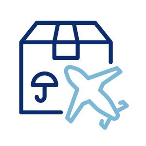 International Speedy Parcels international delivery icon services